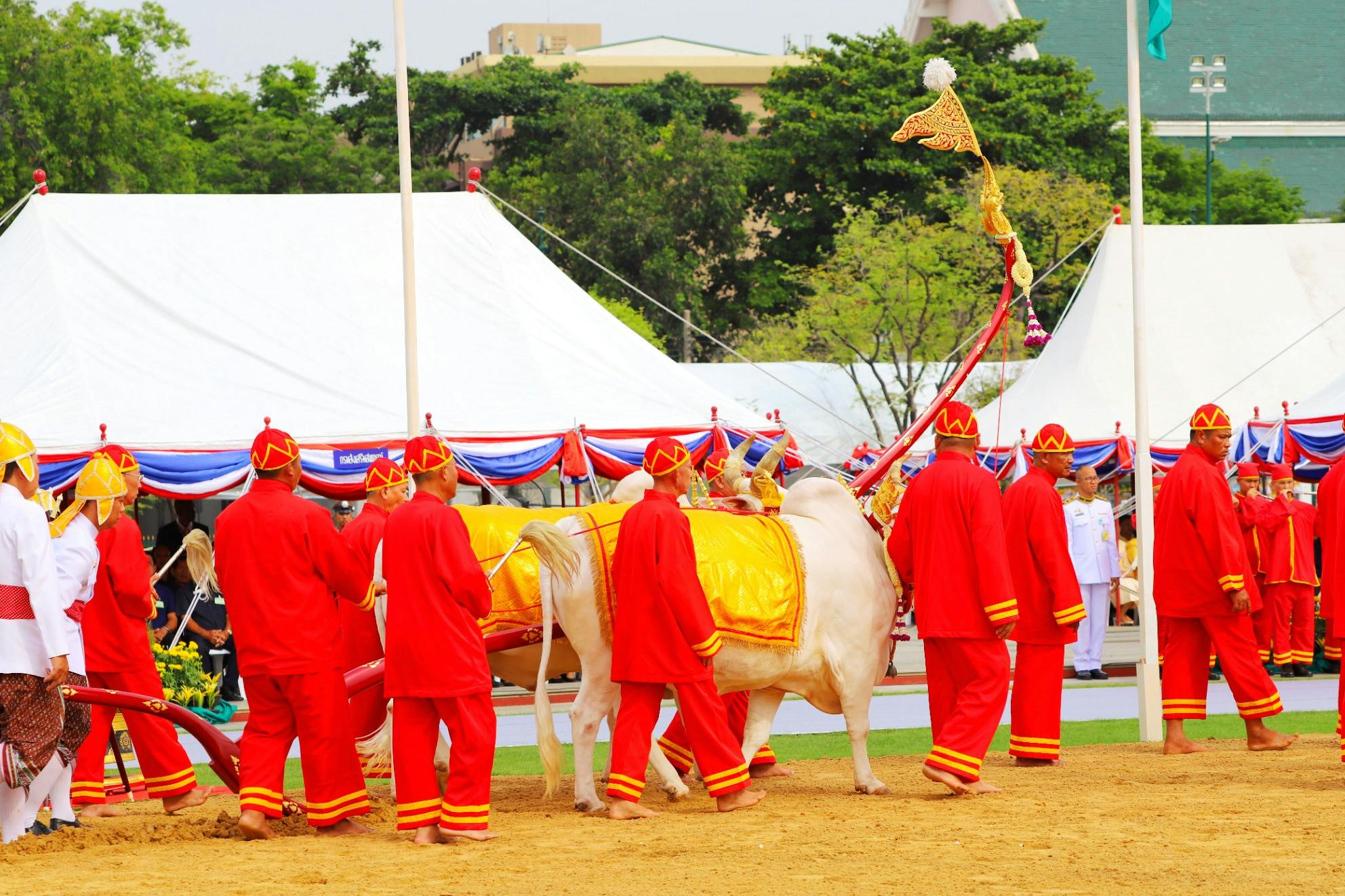 Royal Ploughing Ceremony in Thailand